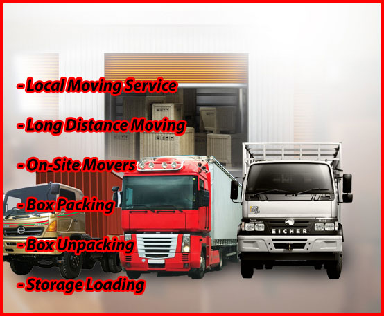 Packers And Movers Noida Sector 29